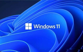 Win11 升级22H2后必做的几种优化方法